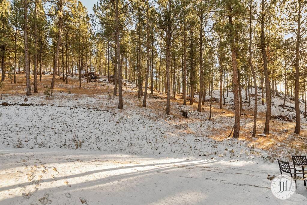 Elk Ridge Fire Place Custer Ngoại thất bức ảnh