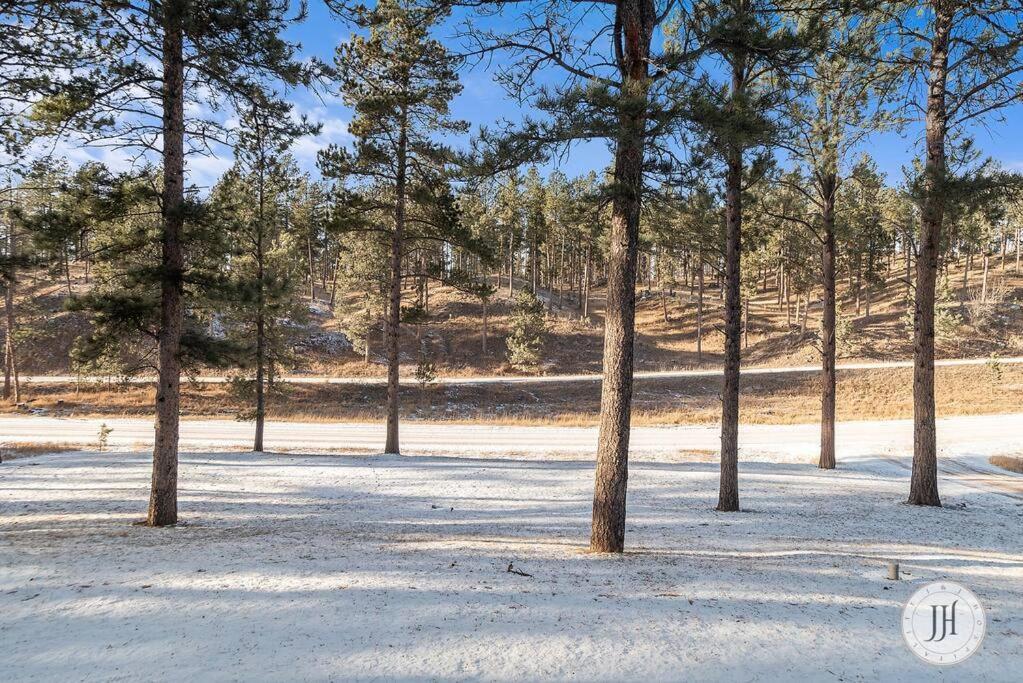 Elk Ridge Fire Place Custer Ngoại thất bức ảnh